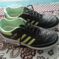 کتانی سالنی|کیف، کفش، کمربند|قم, علی آباد سعدگان|دیوار