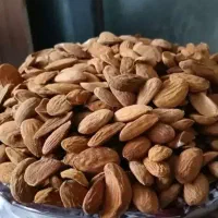 گردو و بادام|خوردنی و آشامیدنی|تهران, شهرآرا|دیوار