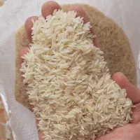 برنج شمالی
