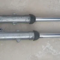 فنچ مرغ عشق عروس هلندی|پرنده|میناب, |دیوار