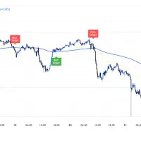 ابزار برای تریدرها اجاره اندیکاتور الگوریتمیک