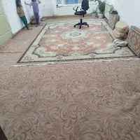 پالاز|موکت|بانه, |دیوار