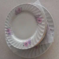 پیش دستی و میوه خوری