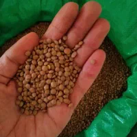 پخش خیارشور همدان لوبیا چیتی عدس و...|خوردنی و آشامیدنی|کرج, محمود آباد|دیوار