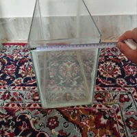 آکواریوم|ماهی|خمینی‌شهر, |دیوار