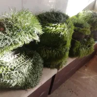 تعدادی چمن مصنویی تکه تکه واسه باغ یا تراس