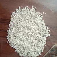 فروش برنج