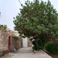 سوئیت بدون نیاز به مدرک