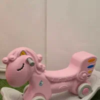 تعادلی دوکاره پونی