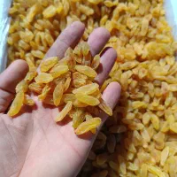 کشمش سبز قلمی کاشمر|عمده‌فروشی|یزد, |دیوار