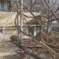 زمین و بنای کلنگی
