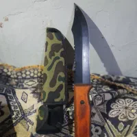 کبوتر معاوضه