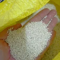 نیم دانه