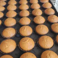 نیازمند استاد کار فانتزی