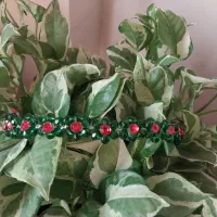 مناسب برای یلدا