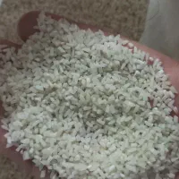 لاشه برنج دم سیاه