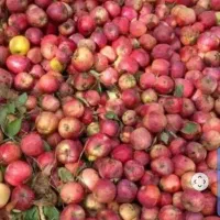سیب پا درختی ضایعات