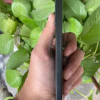 Poco X6 Pro|موبایل|رشت, ولکس|دیوار