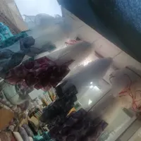 پشه بند به قیمت تولیدی|رختخواب، بالش، پتو|نجف‌آباد, فرخی|دیوار