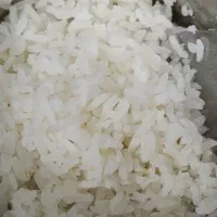 پخش عمده برنج پاکستانی غزال سبز|خوردنی و آشامیدنی|کرمان, |دیوار