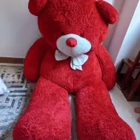 خرس پولیشی
