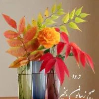 معلم و معلم یار کودکان و دانش آموزان استثنایی