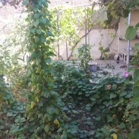 خانه ویلایی در روستای دیزج امیر مدار|فروش خانه و ویلا|اسکو, |دیوار
