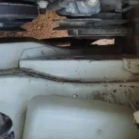 پراید|خودرو سواری و وانت|سقز, |دیوار