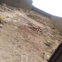 زمین ۳۳۰ متر در ارزنچه سفلی با امتیاز اب و پروانه|فروش زمین و ملک کلنگی|تایباد, |دیوار