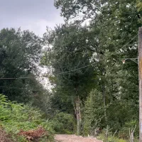 زمین مسکونی روبروی تالاب سوختکوه|فروش زمین و ملک کلنگی|لاهیجان, شیخ زاهد|دیوار