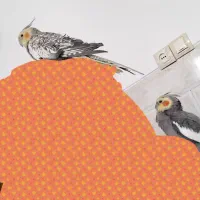 عروس هلندی سخنگو دستی