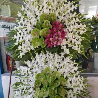 گل ارای