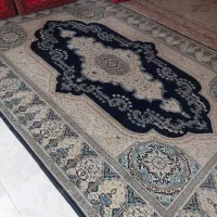 9 متری|فرش|ساوه, |دیوار