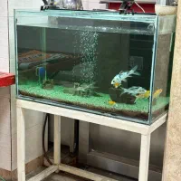 فروش اکواریوم به صورت کلی