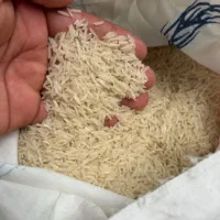 برنج فجر سوزنی .خوش عطر بو .سورت شده ..