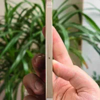اپل iphone 5s با حافظه ۳۲ گیگابایت|موبایل|تهران, زعفرانیه|دیوار