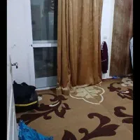 موکت و گلیم