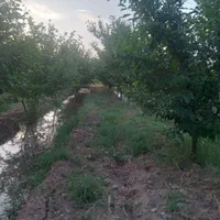 فروش زمین ۲۰۰۰ متری در هفده شهریور