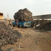 نوار طیف از سرزمین برای ما بخر ۱ میلیون جایزه بگیر
