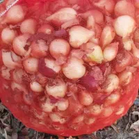 پیاز ریز (ترشی)|عمدهفروشی|عجب شیر, |دیوار