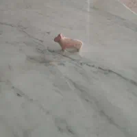 مجسمه ساروجی