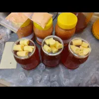 عسل خوراکی درمانی وژل رویال اصل