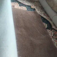 موکت پالاز|موکت|کازرون, |دیوار