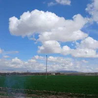 زمین