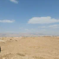 زمین کشاورزی هکتاری، دامداری، گلخانه، مرغداری|فروش دفتر صنعتی، کشاورزی، تجاری|نظرآباد, نظرآباد|دیوار