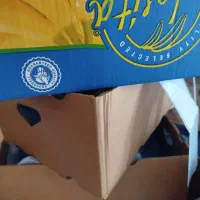 کارتون موز