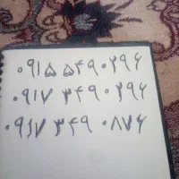 09155490296