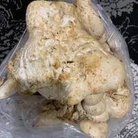 قارچ کوهی تازه