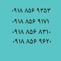 9353 856 0918