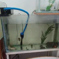 آکواریوم و لوازم